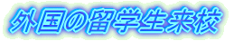 ��ʋ���