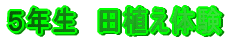 ��ʋ���