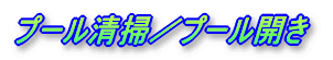 ��ʋ���
