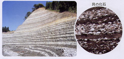 ５ 大地のつくり 2