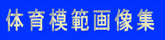 ͔͉̈摜W