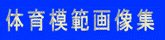 �̈�͔͉摜�W